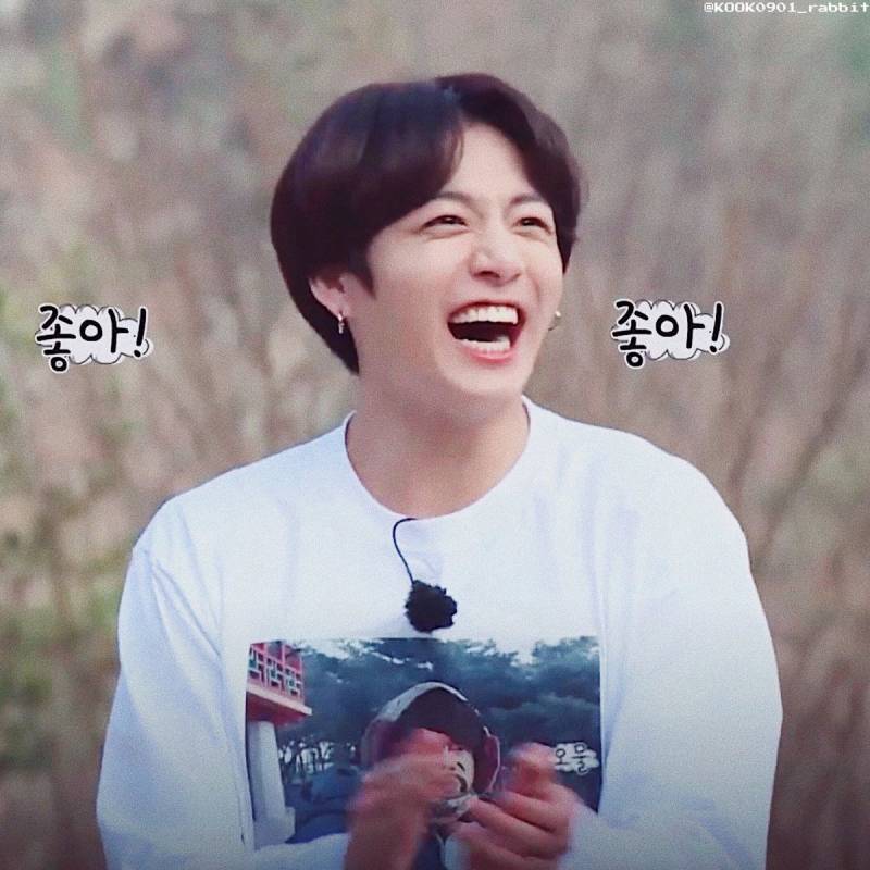 정구기는 말티져스다 | 인스티즈