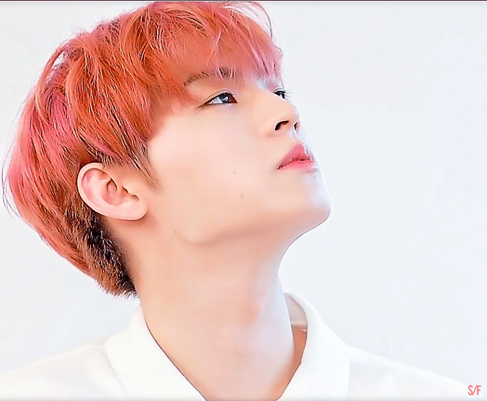 김효진 | 인스티즈