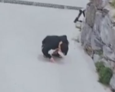 송충이랑 노는 꾸기나 보고 가 | 인스티즈