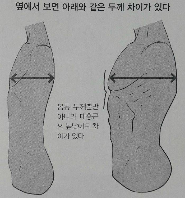 익들 취향은 뭐야?? 남자 몸통 | 인스티즈