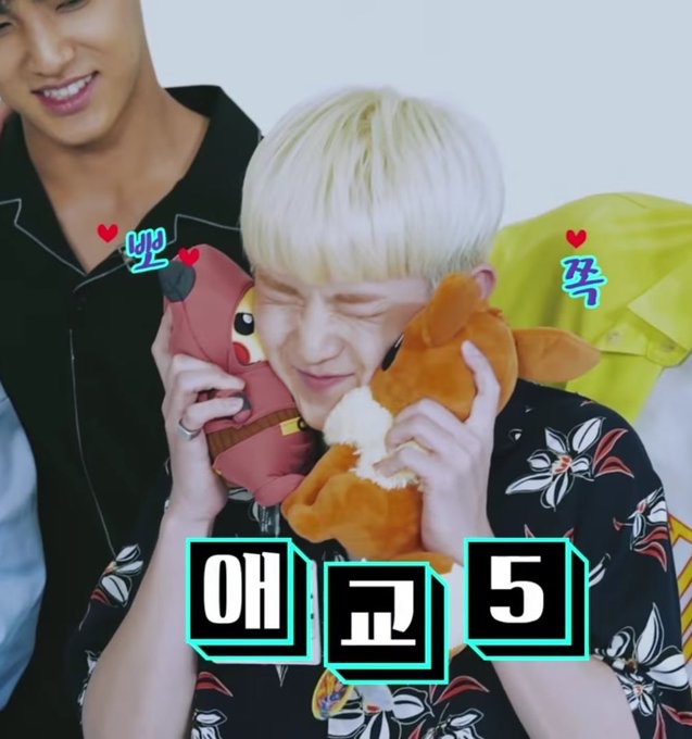 세븐틴 아무거나짤 모음 | 인스티즈