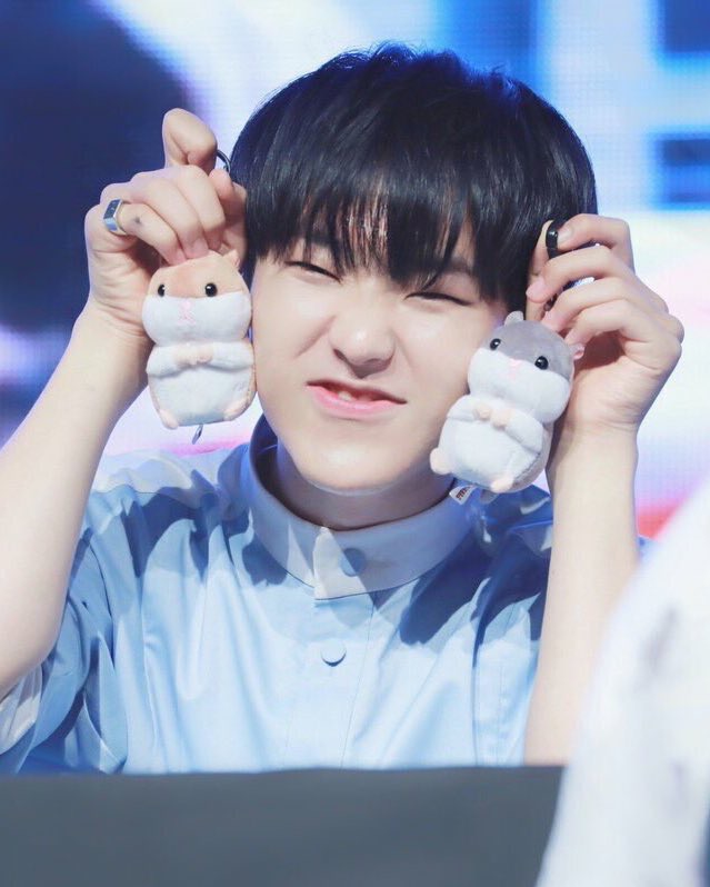 세븐틴 아무거나짤 모음 | 인스티즈