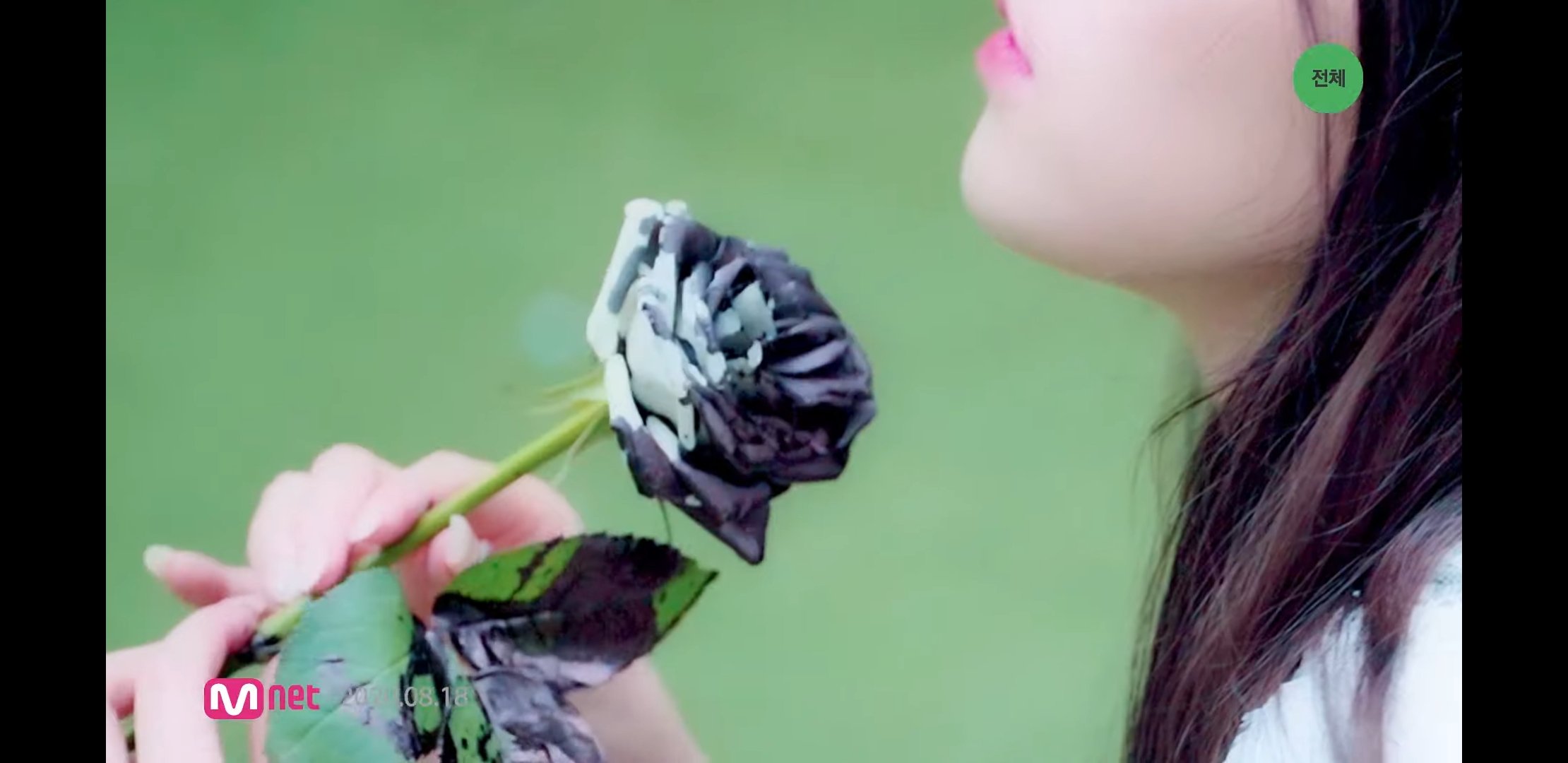 러블리즈 티저 진짜 어이없네... | 인스티즈