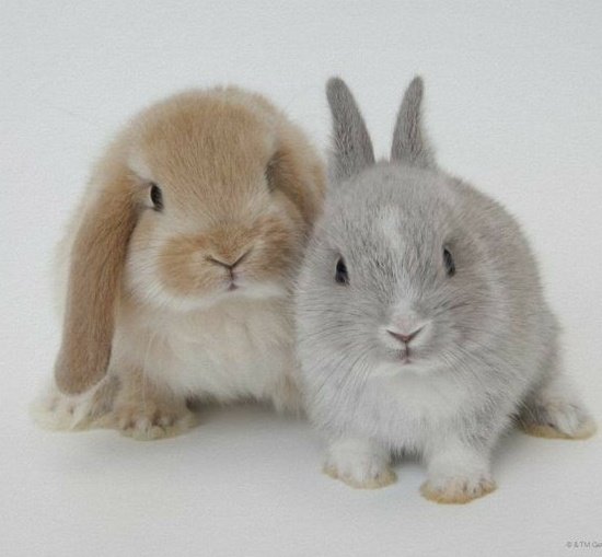 오늘 아콩이들 셀카 완전 이거네에 !!!!! | 인스티즈