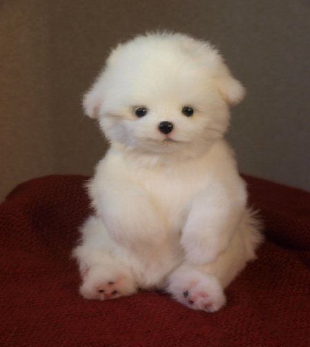 이 사진 백현 닮았다 | 인스티즈