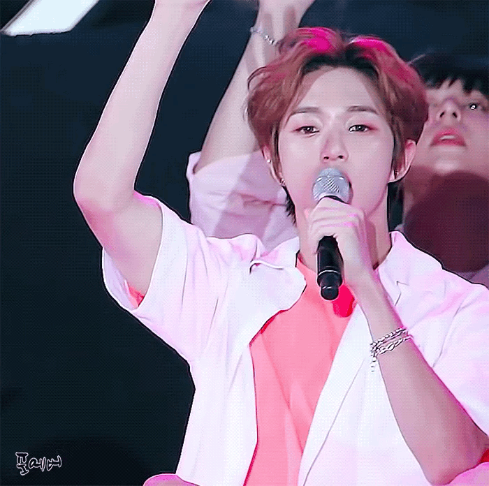 우리 비숑❤❤ | 인스티즈