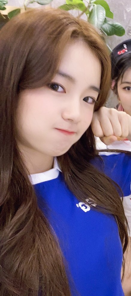 얘 진짜 내가 본 강아지중에 제일 사람처럼생겼어 | 인스티즈