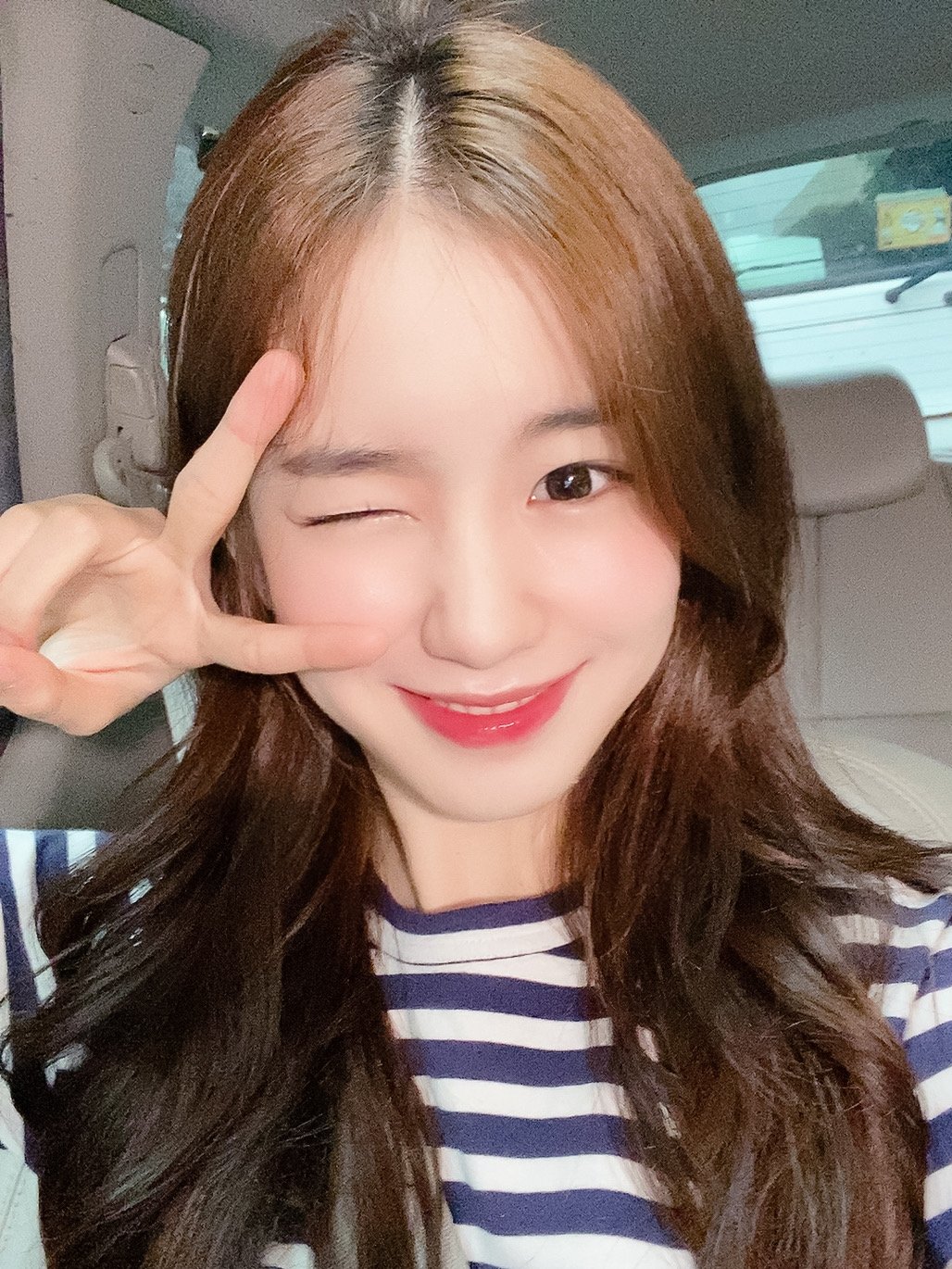 얘 진짜 내가 본 강아지중에 제일 사람처럼생겼어 | 인스티즈