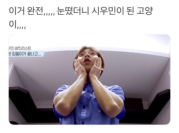 눈 떠보니 시우민이 된 고양이 | 인스티즈