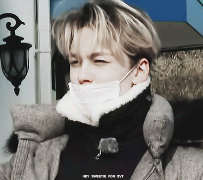 20대 여성이 강력 추진하는 감히 말하는데 버논 원탑 레전드 짤 | 인스티즈