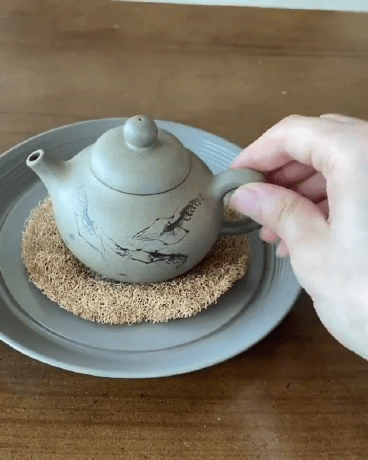 이제는 강아지가 다도하는 시대도 오네 | 인스티즈