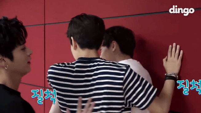 ㄱ 나 이사진 때문에 알페스 시작하려고.. | 인스티즈