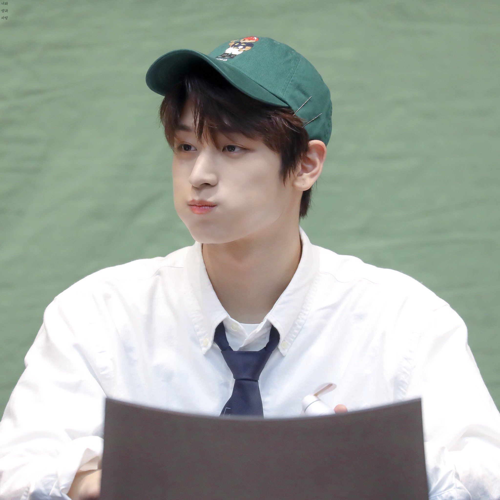 와 날르는 것 봐 이주연 진짜 늑대 혹은 여우 그리고 아기고양이 | 인스티즈