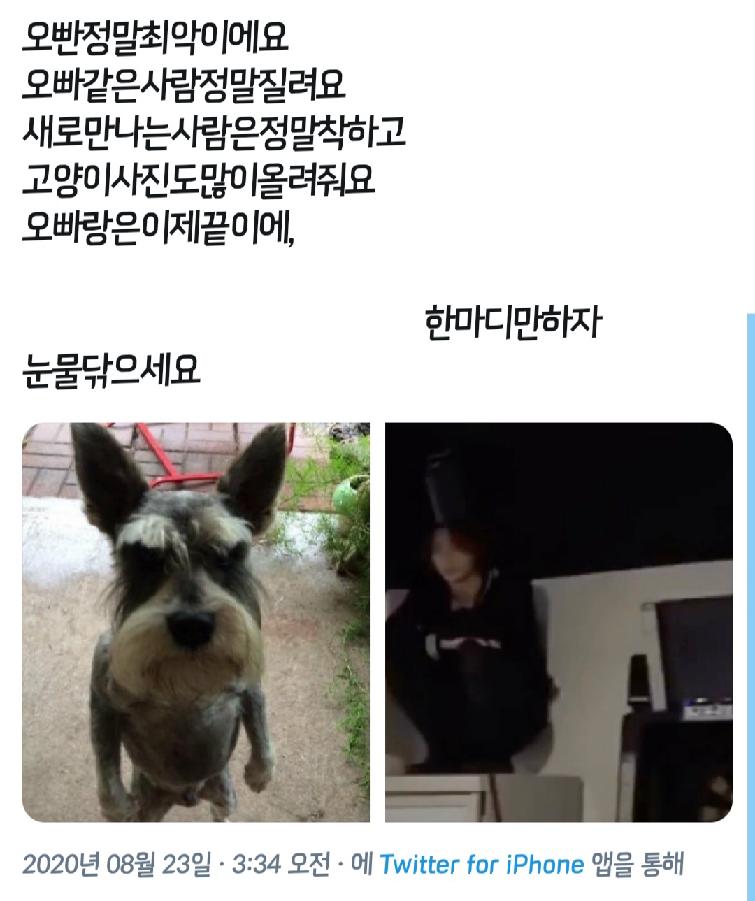 인기글 보고 내 본진 오빤진짜최악이에요 찾아봤는데(ㅈㅇ 슾구) | 인스티즈