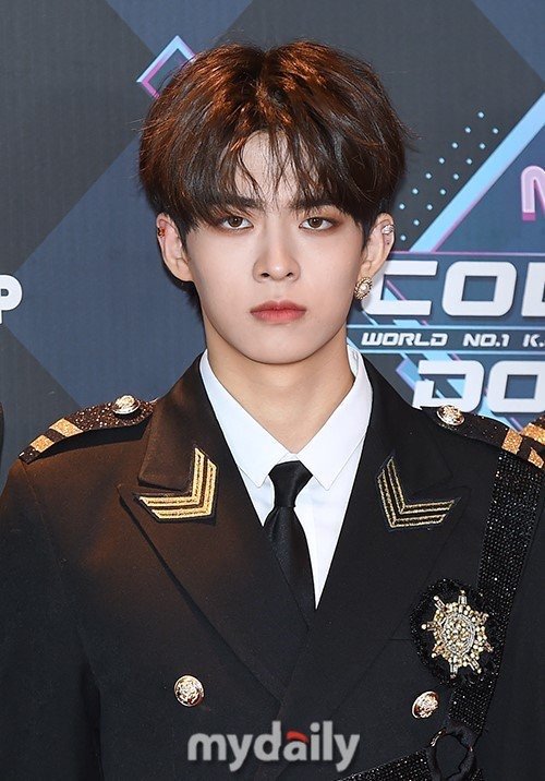 아기고양이의 늠름한 모습 | 인스티즈