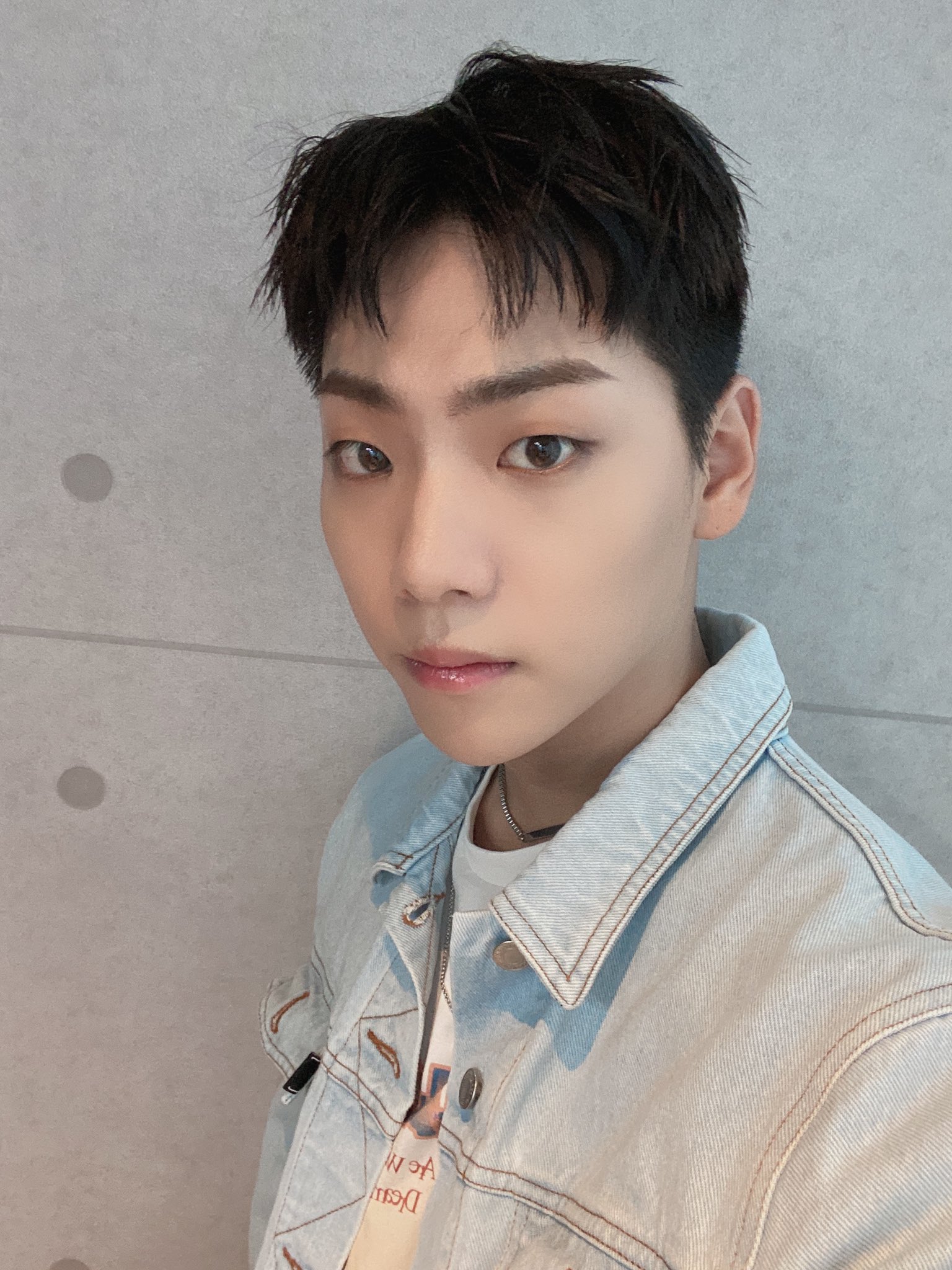 상어를 햄찌라고 하지마세요 | 인스티즈