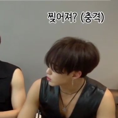 세븐틴 96년생 멤버들 관계성 캐해 대부분 이런 류임ㅋㅋㅋㅋㅋㅋㅋㅋ | 인스티즈