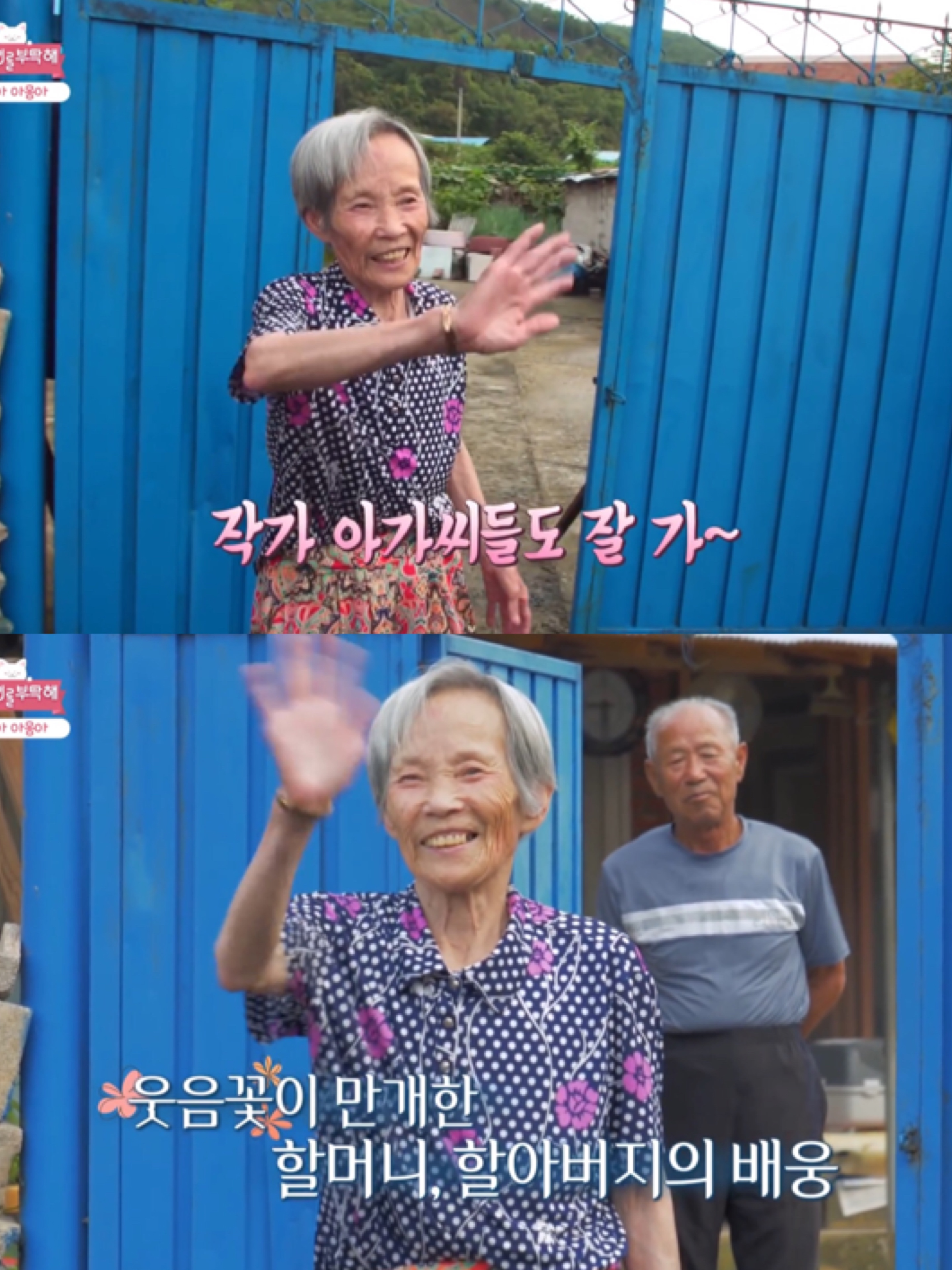 [고양이를부탁해] 고양이 목에 생긴 혹의 정체 | 인스티즈