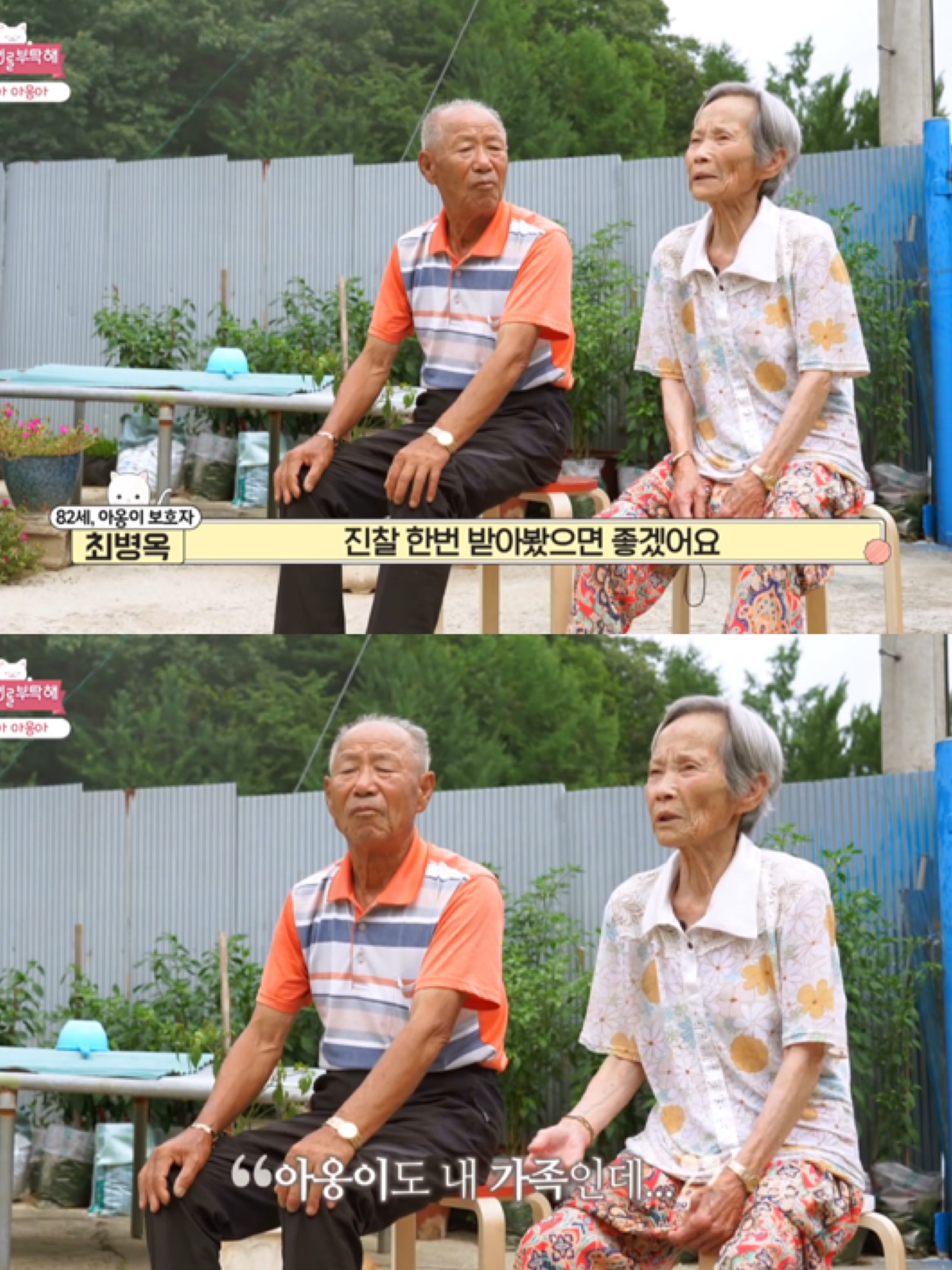 [고양이를부탁해] 고양이 목에 생긴 혹의 정체 | 인스티즈