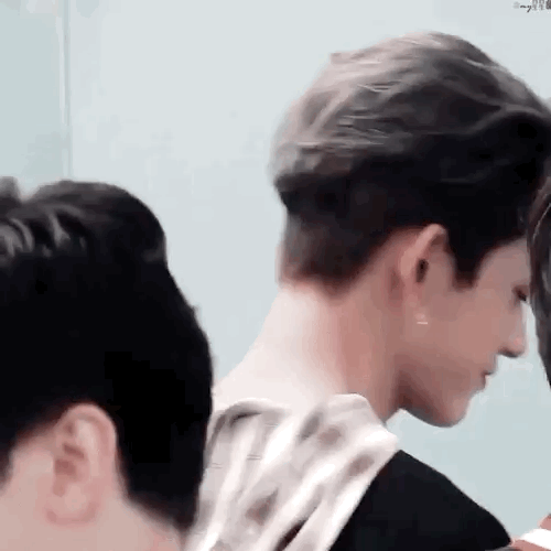 내가 좋아하는 사람들인데 소나무같음?? | 인스티즈