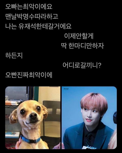 아나 트위터 오빠 최악이에요 밈 이거 너무 웃겨 ㅋㅋㅋㅋㅋㅋㅋㅋ | 인스티즈