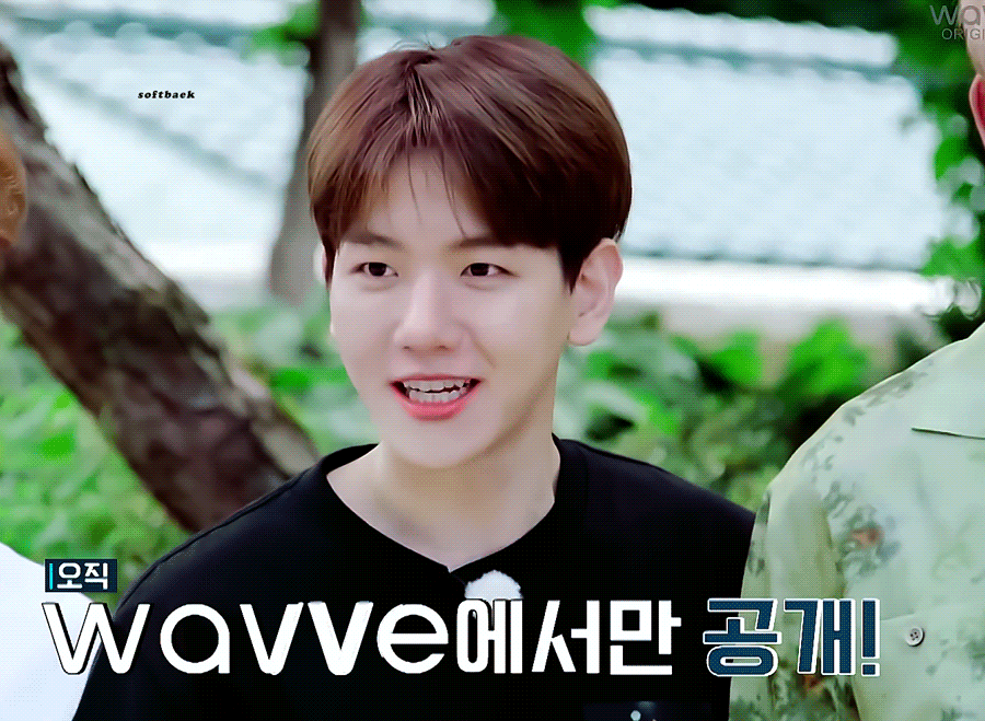 우리 앙글이 백현이 보고 싶다 | 인스티즈