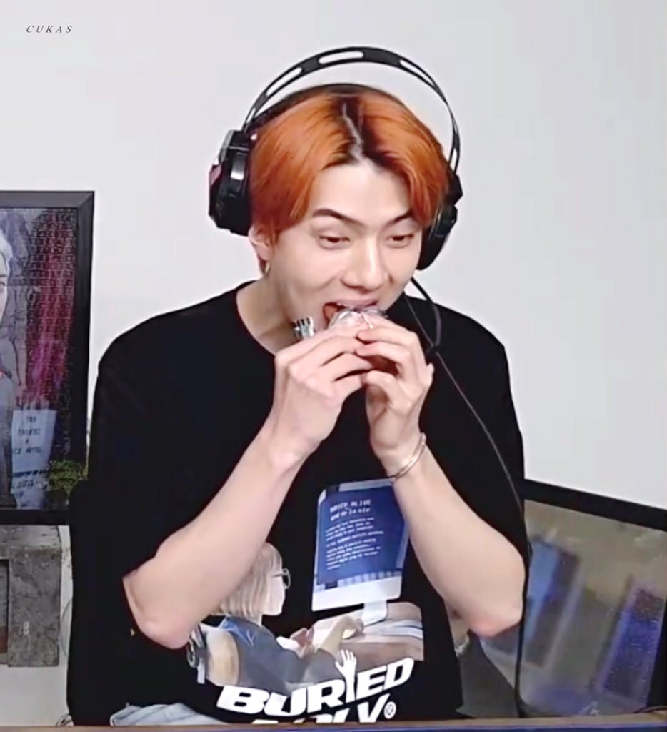 오세훈은 고양이야 삐약이야? | 인스티즈