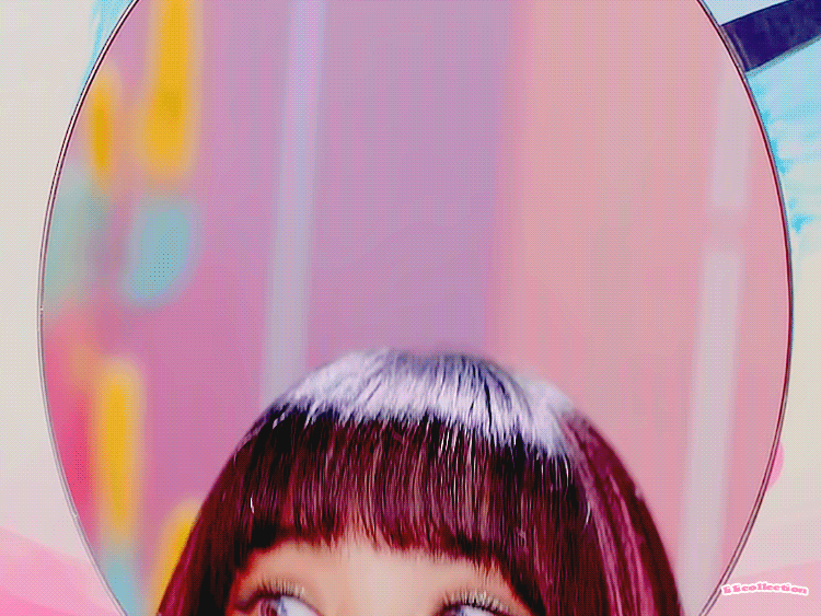 블핑이랑 셀레나 얼굴합 레전드 | 인스티즈