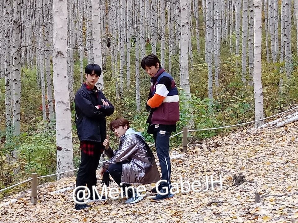 산책하다가 볼 수 있는 삶.. | 인스티즈