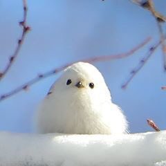 모두가 납득할 수 있는 아이린 닮은꼴 | 인스티즈