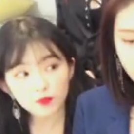 모두가 납득할 수 있는 아이린 닮은꼴 | 인스티즈