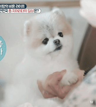 뉴종현 여자친구 지금 일어남 ㅜ | 인스티즈