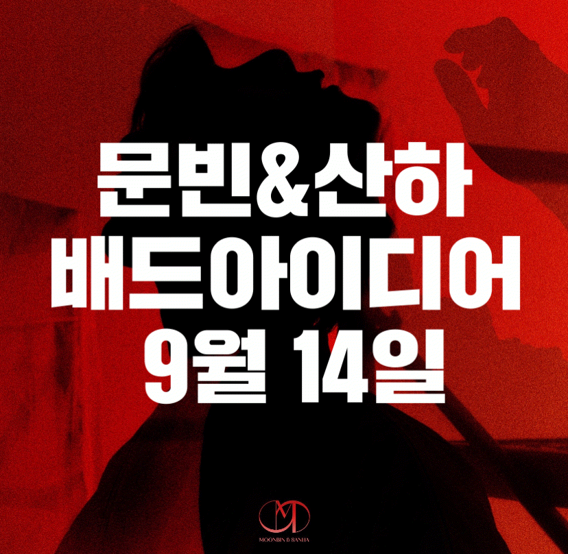 모노트리 좋아하는 사람 | 인스티즈