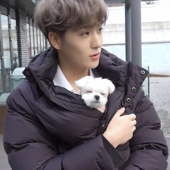 이 강아지 (진짜 강아지 말하는 거) 어디서 봐? | 인스티즈