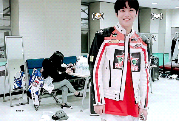 이 강아지는 종이 뭐야?? | 인스티즈