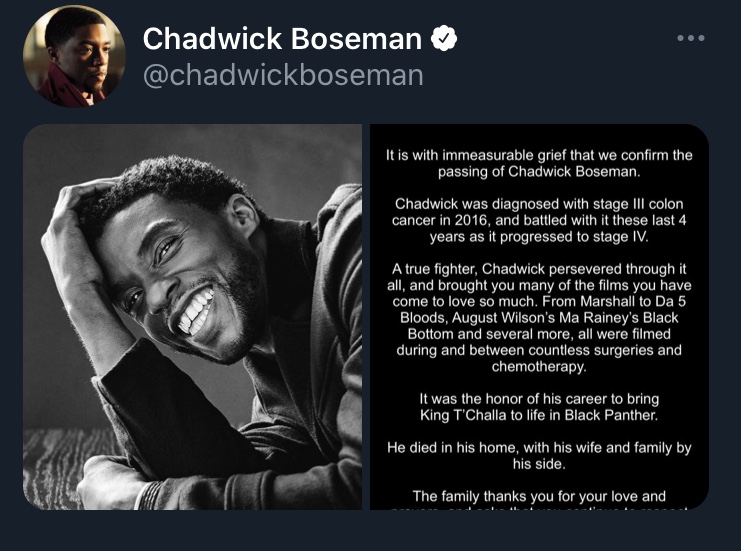 헐 블랙팬서 주인공 암으로 죽었다는데 | 인스티즈