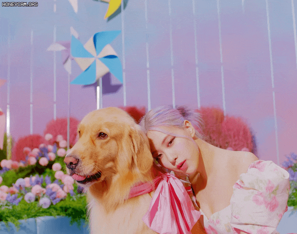 블핑 로제 이때 나만 헉한거 아니지 | 인스티즈