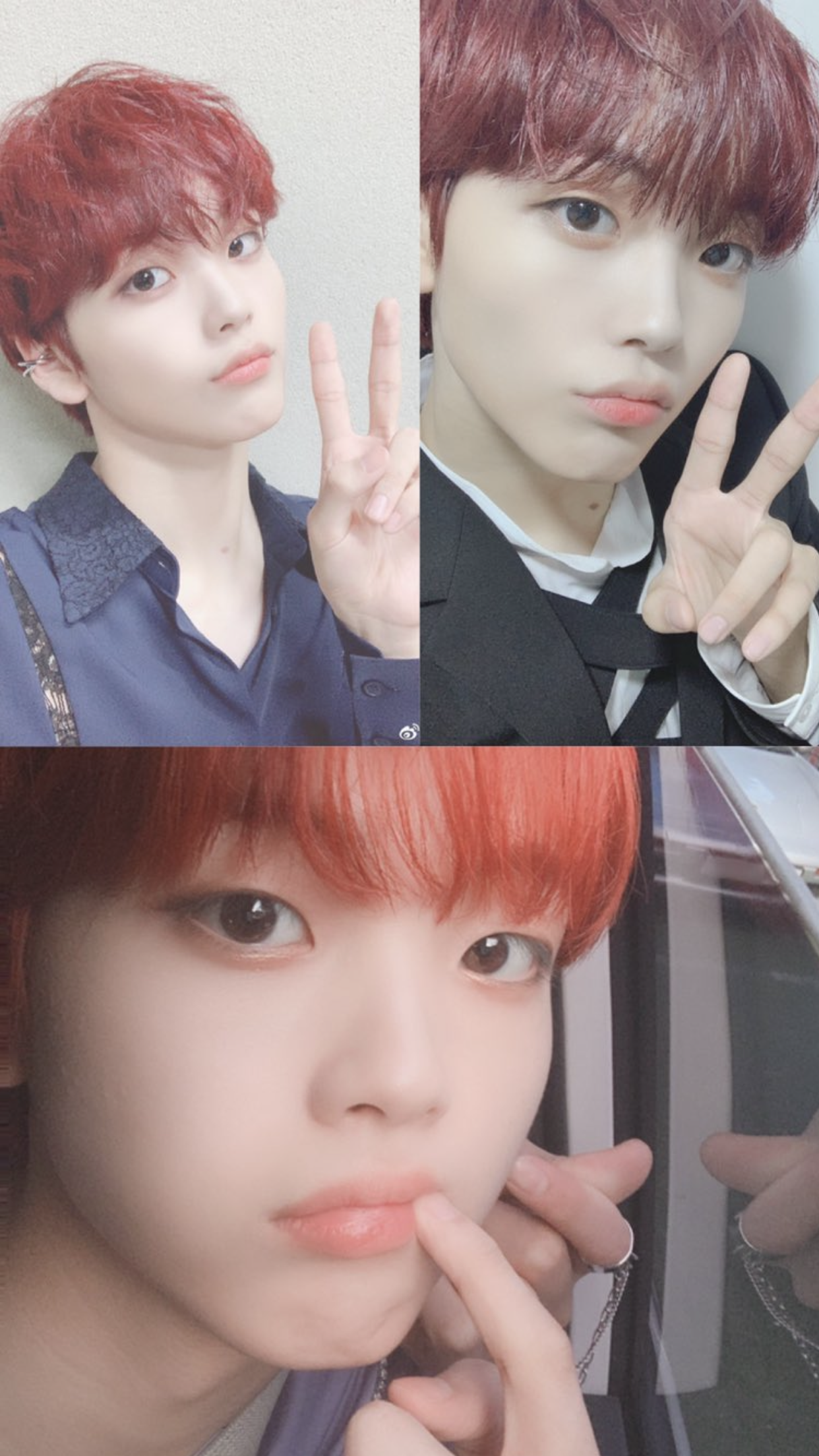 송형준 이 사진 어디에 뜬거야?? | 인스티즈