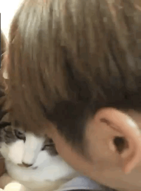 온앤오프 이션 민균이네 고양이썰ㅋㅋ | 인스티즈