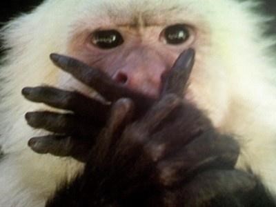 온앤오프 와이 활동할때 못본거 제일 후회된다 | 인스티즈