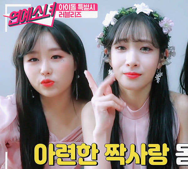 럽리 관계성 진짜 웃긴 조합이 유지애 베이비소울임ㅋㅋㄱㅋ | 인스티즈