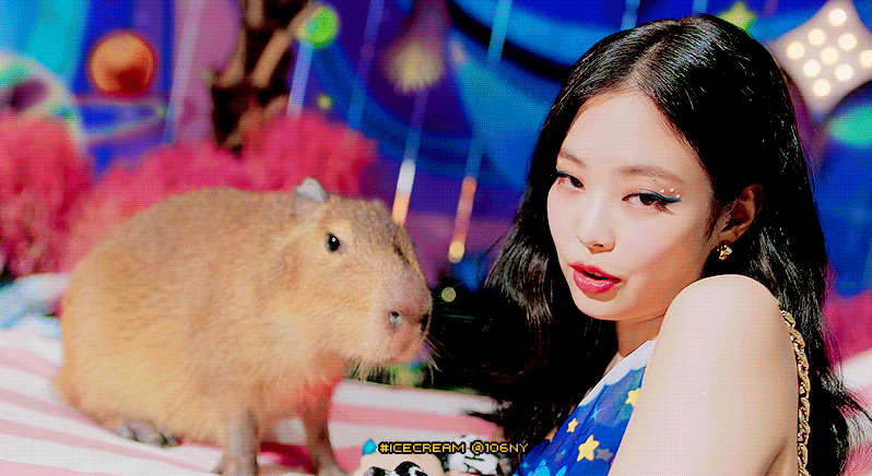 와 이짤들이 다 한 뮤비래..ㄷㄷㄷ 제니는 진짜... | 인스티즈