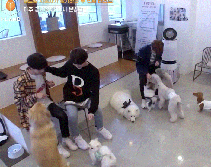 근데 난 확실히 빅히트애들이 좋은듯 | 인스티즈