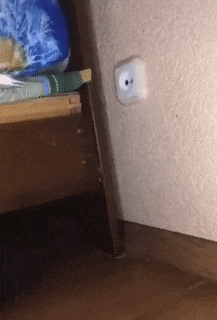 사람들이 잘 모르는 콘센트 귀신.gjf | 인스티즈