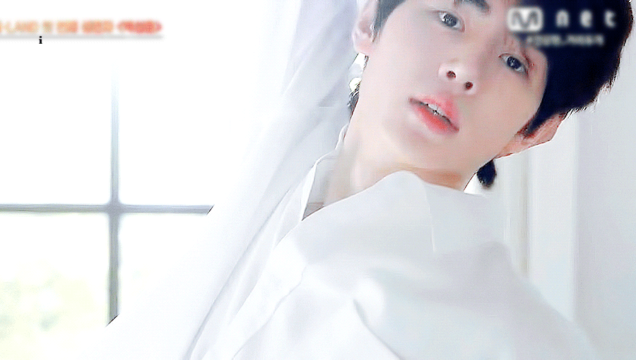 내 취향 소나무야⁉️⁉️ | 인스티즈