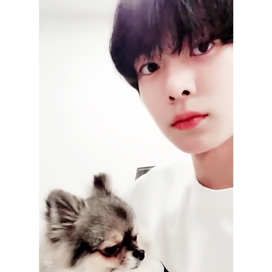 아이랜드에서 반응 좋은 연습생들 이유 | 인스티즈