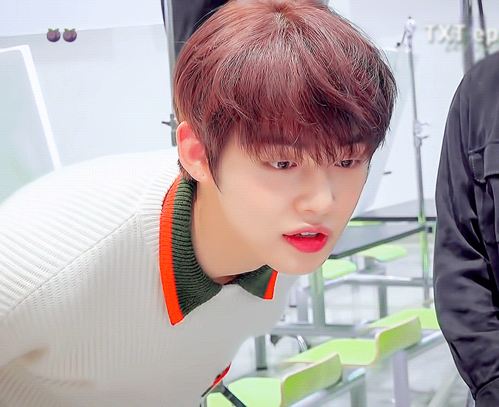 내 취향 황민현 서지수 조승연 최연준 김선우(아이랜드)인데 소나무 ㅇㅈ? | 인스티즈