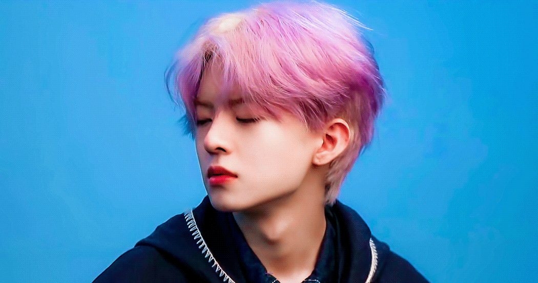 우리집 고양이 보고가 | 인스티즈