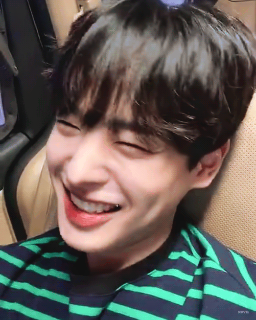 최씨 강아지를 너무 사랑해서... | 인스티즈