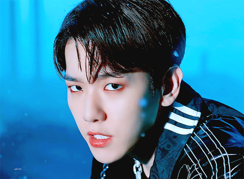 와 백현 호랑이 움짤 미쳤다 | 인스티즈